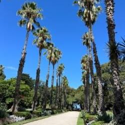 b67a15ea-256e-4a79-afaa-1a541b12d93b