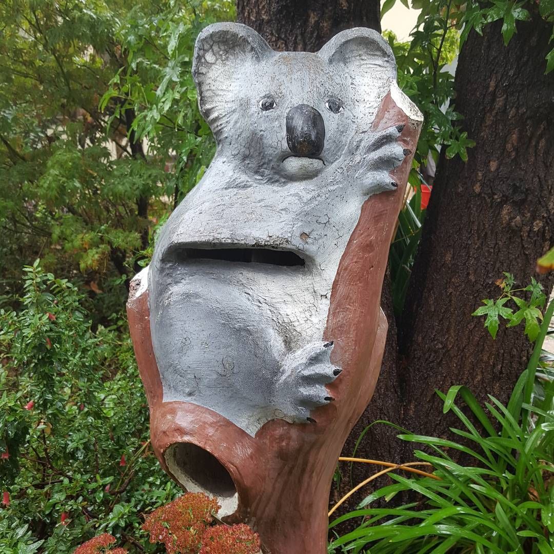 Koala letterbox