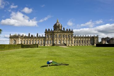 castle howard with peacock