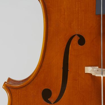 cello-detail